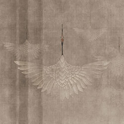 �Q��-ԭ�����Ʊڮ� CG-NDC5010