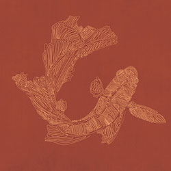 �~�S-ԭ�����Ʊڮ� CG-NDC5020