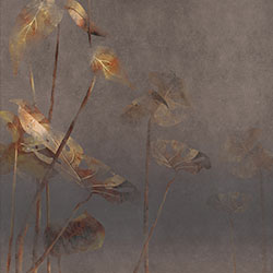 �~�}��-ԭ�����Ʊڮ� CG-NDC5035