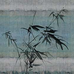 �L��-ԭ�����Ʊڮ� CG-NDC5038