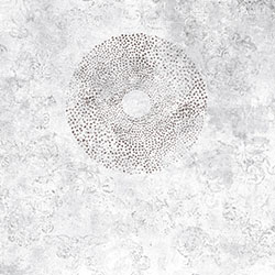 �ᭇ-ԭ�����Ʊڮ� CG-NDC5118