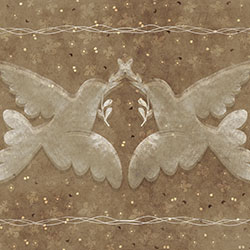 ����-ԭ�����Ʊڮ� CG-NDC5124