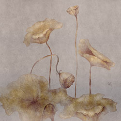 ���-ԭ�����Ʊڮ� CG-NDC5125