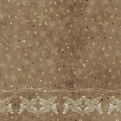 �Ř�-ԭ�����Ʊڮ� CG-NDC5134