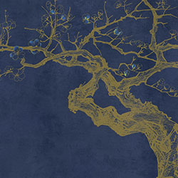 ÷��-ԭ�����Ʊڮ� CG-NDC5200