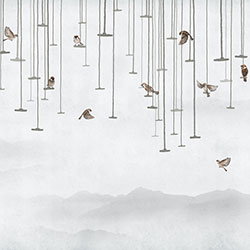 �Ļ�-ԭ�����Ʊڮ� CG-NDC5235