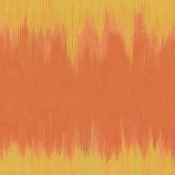 ��׃-ԭ�����Ʊڮ� CG-NDC5002