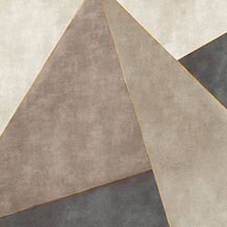 ������-ԭ�����Ʊڮ� CG-NDC5018