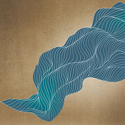 �S��-ԭ�����Ʊڮ� CG-NDC5021