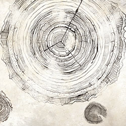 �f�����L-ԭ�����Ʊڮ� CG-NDC5047