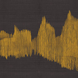 �BӰ-ԭ�����Ʊڮ� CG-NDC5071