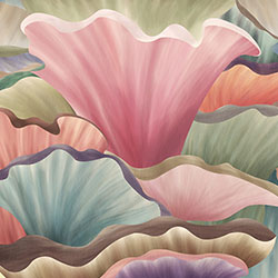 �˶���-ԭ�����Ʊڮ� CG-NDC5092