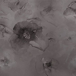 ��ͩ��-ԭ�����Ʊڮ� CG-NDC5176