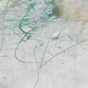 ����-ԭ�����Ʊڮ� CG-NDC5190