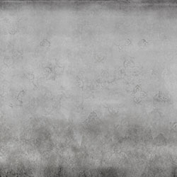 ���Rʿ��-ԭ�����Ʊڮ� CG-NDC5204