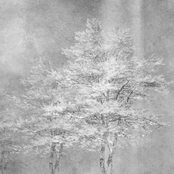 �Fڡ-ԭ�����Ʊڮ� CG-NDC5221