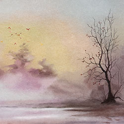 �����L��-ԭ�����Ʊڮ� CG-NDC5228