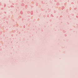 �仨-ԭ�����Ʊڮ� CG-NDC5260